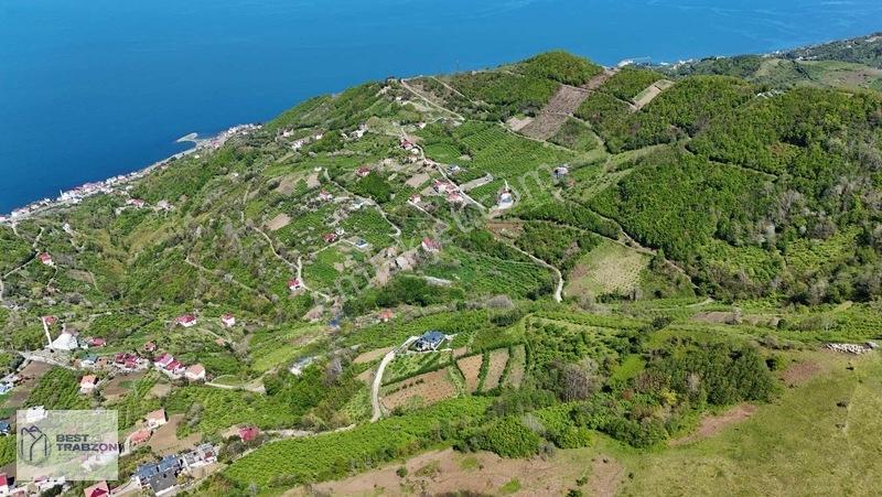 Best Of Trabzon Mersinde Ful Deniz Ve Doğa Manzaralı Arsa — fotoğraf 9