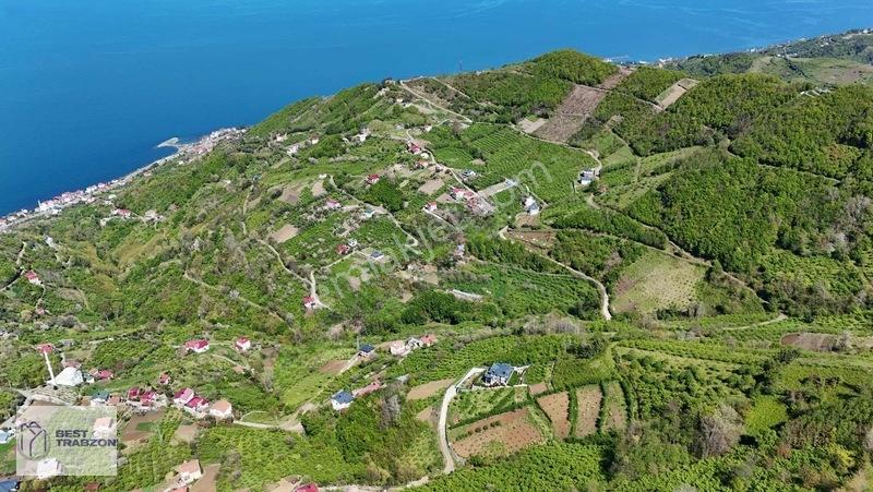 Best Of Trabzon Mersinde Ful Deniz Ve Doğa Manzaralı Arsa — fotoğraf 10