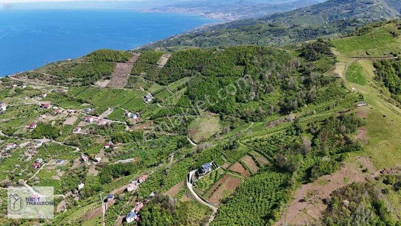 Best Of Trabzon Mersinde Ful Deniz Ve Doğa Manzaralı Arsa — fotoğraf 11