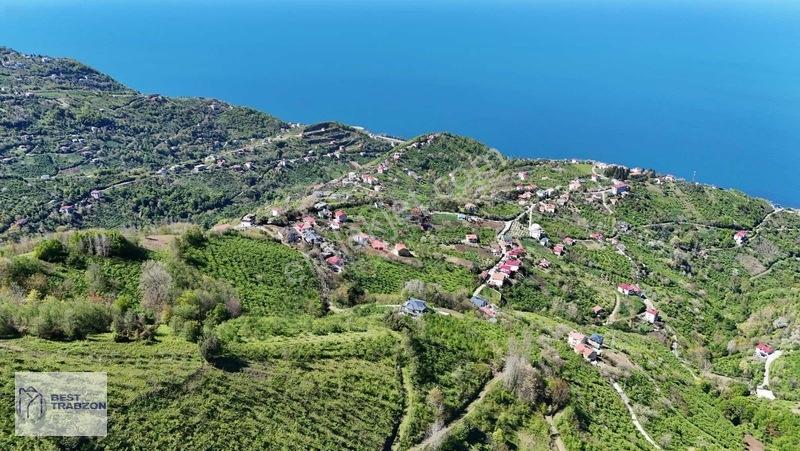 Best Of Trabzon Mersinde Ful Deniz Ve Doğa Manzaralı Arsa — fotoğraf 12