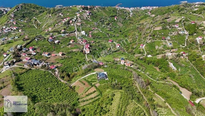 Best Of Trabzon Mersinde Ful Deniz Ve Doğa Manzaralı Arsa — fotoğraf 13