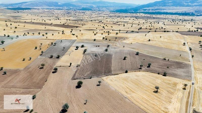 Asfalt Yola Yakın Konumda Yatırımlık 3.547 M² Müstakil Tarla