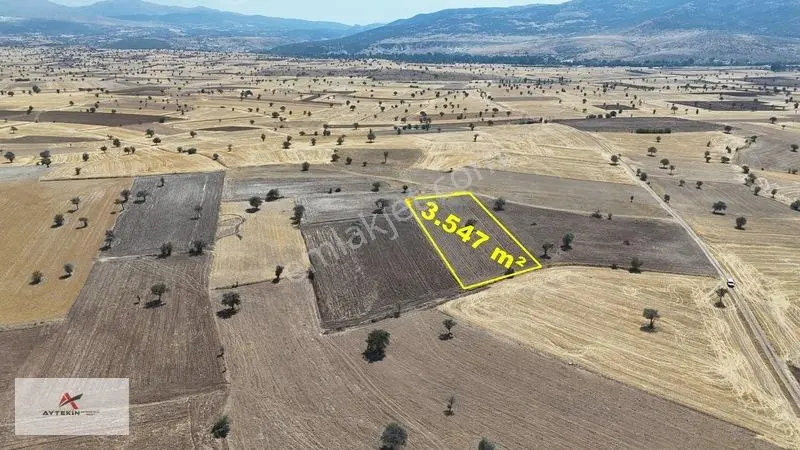 Asfalt Yola Yakın Konumda Yatırımlık 3.547 M² Müstakil Tarla — fotoğraf 2