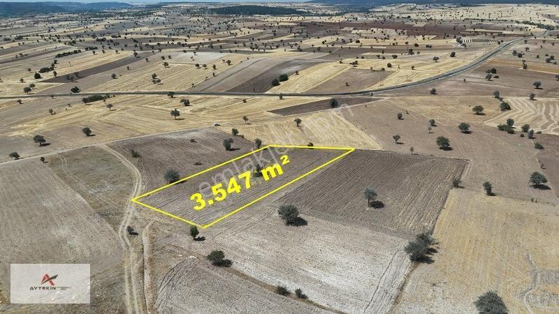 Asfalt Yola Yakın Konumda Yatırımlık 3.547 M² Müstakil Tarla — fotoğraf 4