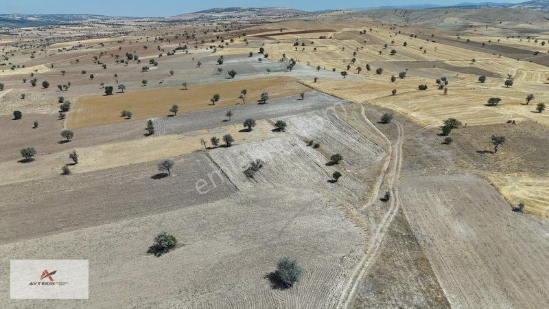 Asfalt Yola Yakın Konumda Yatırımlık 3.547 M² Müstakil Tarla — fotoğraf 5