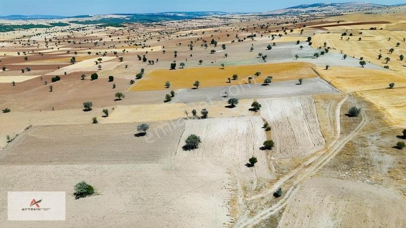 Asfalt Yola Yakın Konumda Yatırımlık 3.547 M² Müstakil Tarla — fotoğraf 6