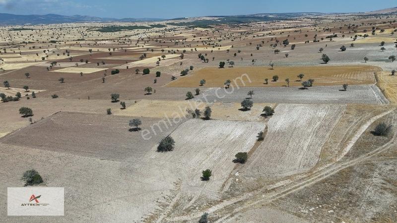 Asfalt Yola Yakın Konumda Yatırımlık 3.547 M² Müstakil Tarla — fotoğraf 7