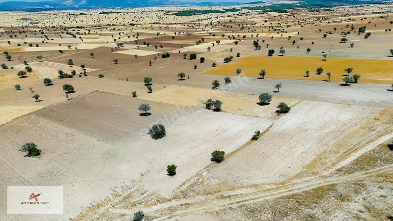 Asfalt Yola Yakın Konumda Yatırımlık 3.547 M² Müstakil Tarla — fotoğraf 8