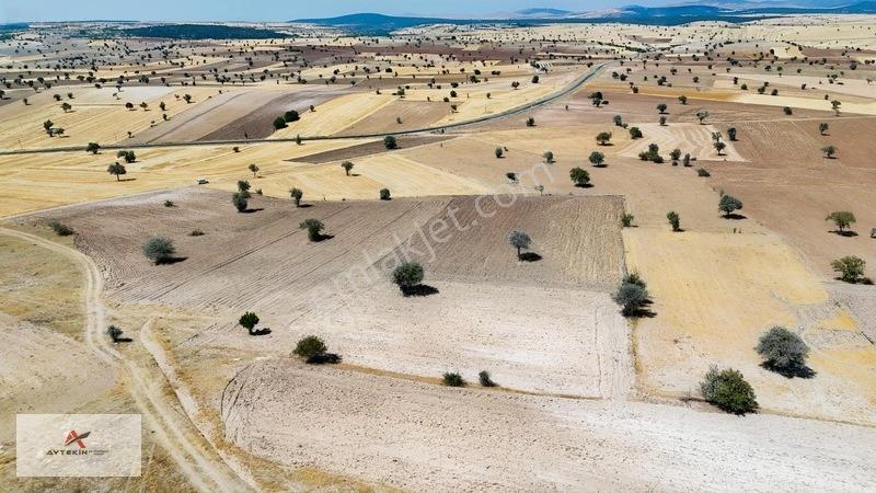 Asfalt Yola Yakın Konumda Yatırımlık 3.547 M² Müstakil Tarla — fotoğraf 11