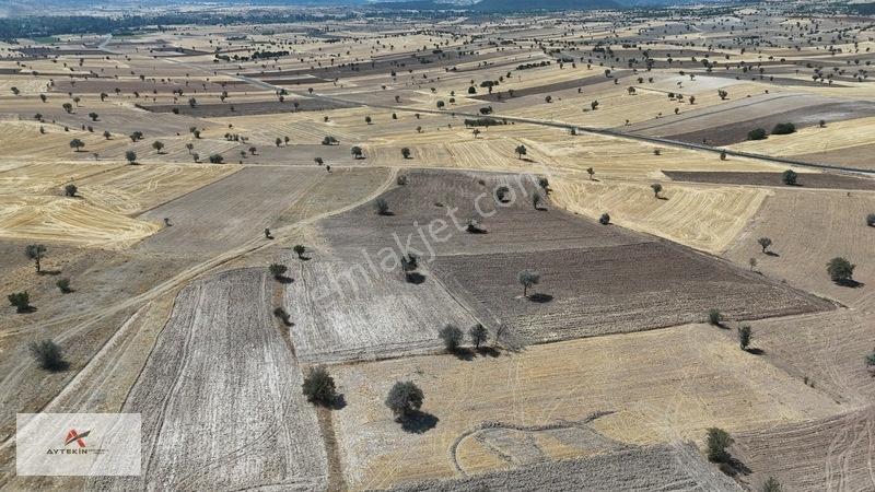 Asfalt Yola Yakın Konumda Yatırımlık 3.547 M² Müstakil Tarla — fotoğraf 14