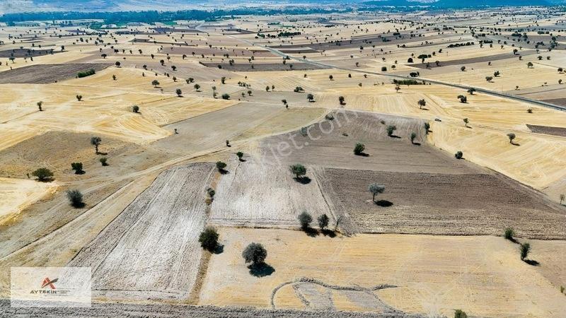 Asfalt Yola Yakın Konumda Yatırımlık 3.547 M² Müstakil Tarla — fotoğraf 15