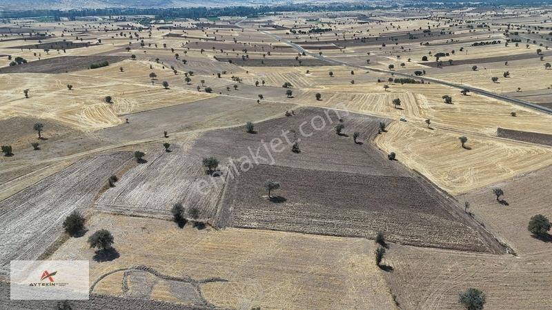 Asfalt Yola Yakın Konumda Yatırımlık 3.547 M² Müstakil Tarla — fotoğraf 16