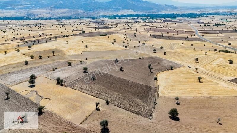 Asfalt Yola Yakın Konumda Yatırımlık 3.547 M² Müstakil Tarla — fotoğraf 17