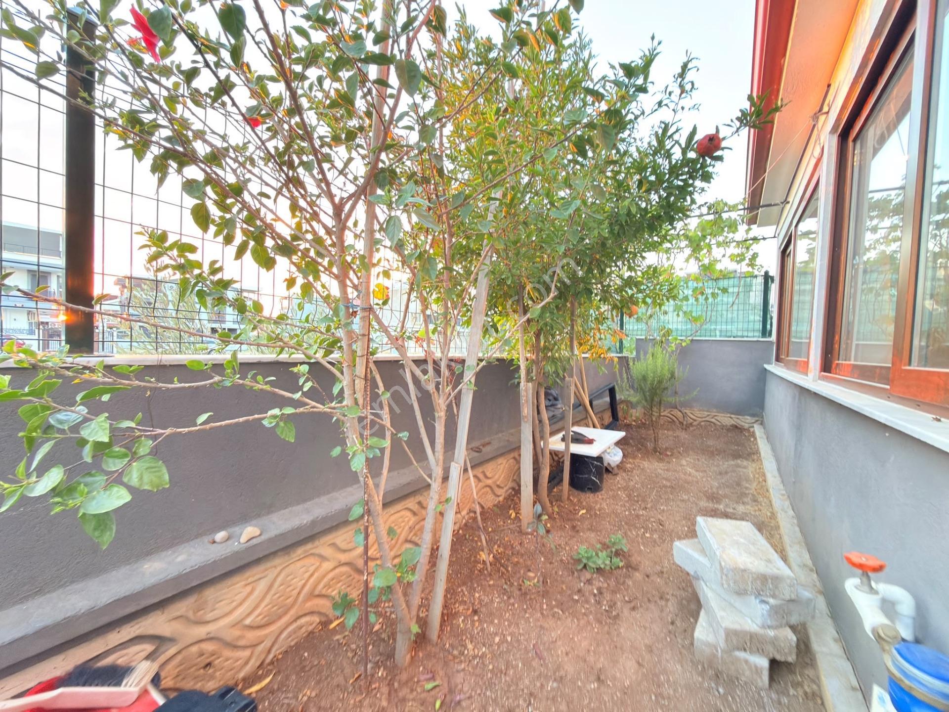 Aydın Didim Efeler Müstakil Villa — fotoğraf 6