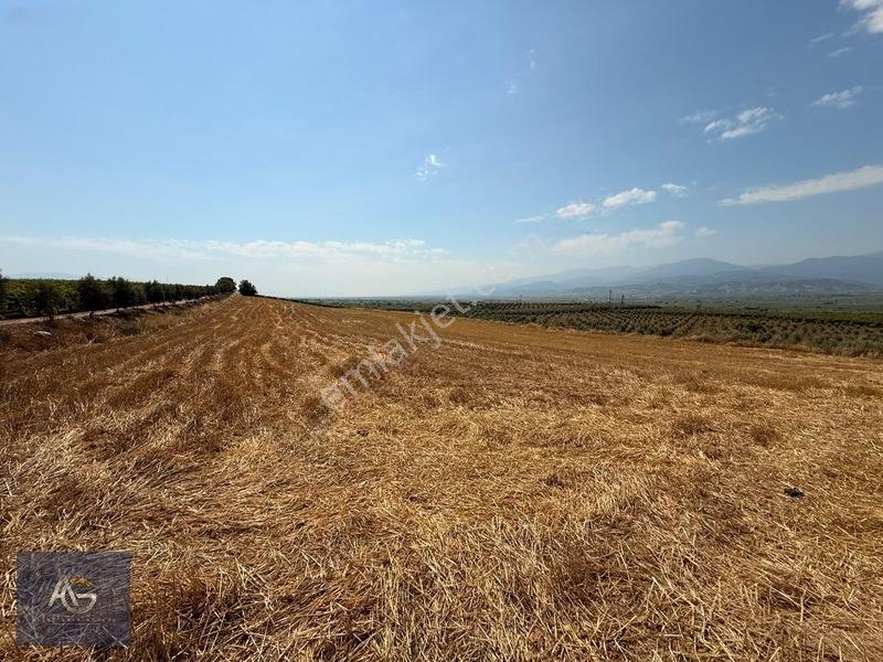 Alper Gayrimenkulden İsmetiye Mah.müstakil Tapu Köşe 8650 M2 — fotoğraf 3