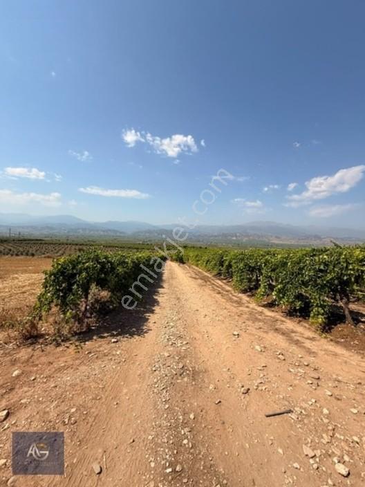 Alper Gayrimenkulden İsmetiye Mah.müstakil Tapu Köşe 8650 M2 — fotoğraf 5