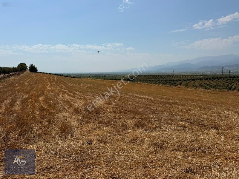 Alper Gayrimenkulden İsmetiye Mah.müstakil Tapu Köşe 8650 M2 — fotoğraf 9