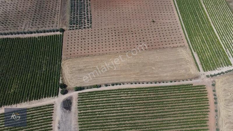 Alper Gayrimenkulden İsmetiye Mah.müstakil Tapu Köşe 8650 M2 — fotoğraf 14