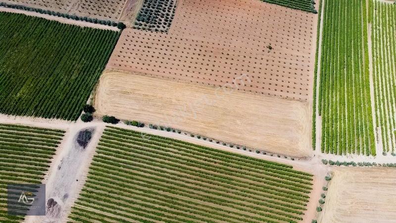 Alper Gayrimenkulden İsmetiye Mah.müstakil Tapu Köşe 8650 M2 — fotoğraf 15