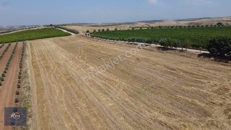 Alper Gayrimenkulden İsmetiye Mah.müstakil Tapu Köşe 8650 M2 — fotoğraf 26