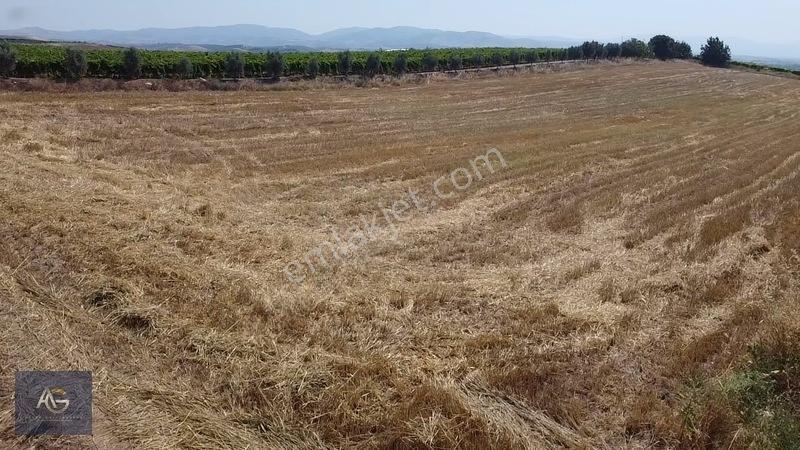 Alper Gayrimenkulden İsmetiye Mah.müstakil Tapu Köşe 8650 M2 — fotoğraf 27