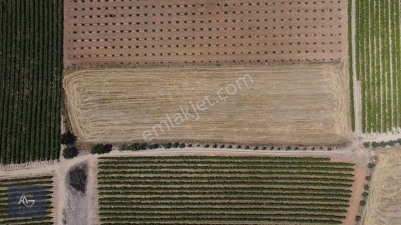 Alper Gayrimenkulden İsmetiye Mah.müstakil Tapu Köşe 8650 M2 — fotoğraf 30