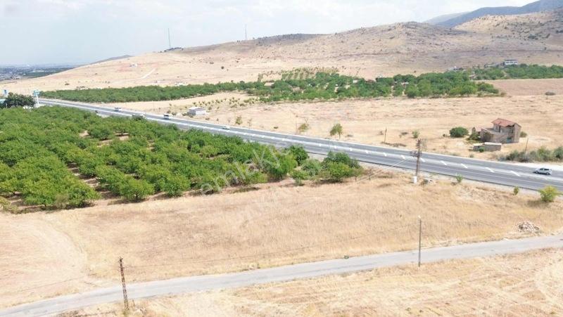Vadi Maldia'dan Cafana'da Yatırımlık Kuponnn Bahçe