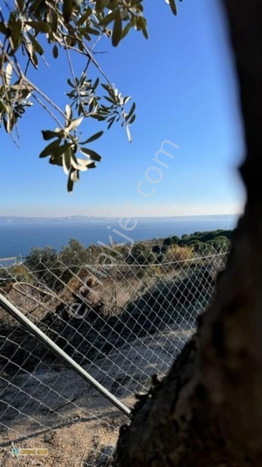 Karadağ Gayrimenkulden Erdek Tatlısu'Da Deniz Manzaralı Arazi
