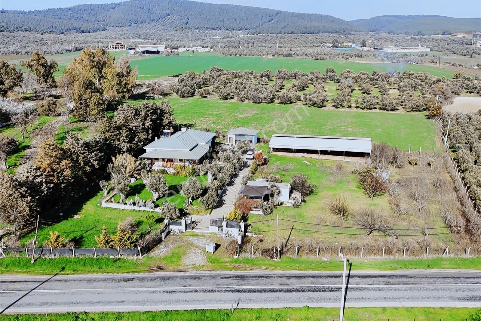 Foça-izmir K.yolu Üzerinde 4.717m2 Bahçe İçerisinde Müstakil Ev — fotoğraf 5