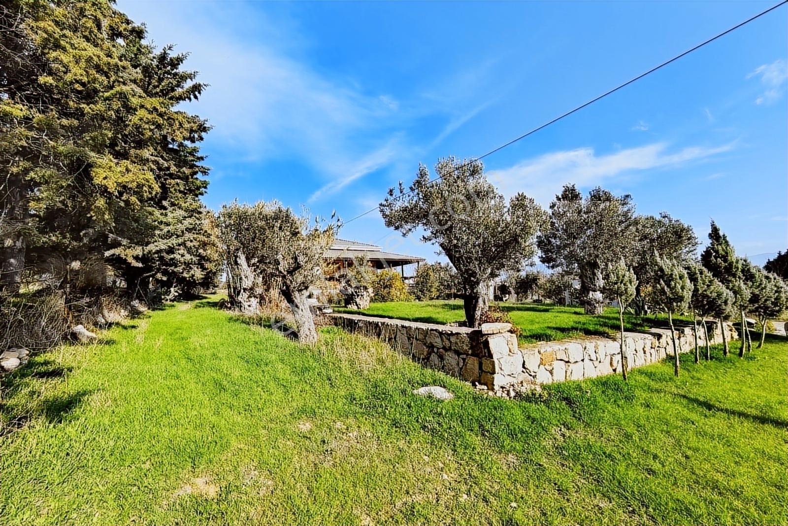 Foça-izmir K.yolu Üzerinde 4.717m2 Bahçe İçerisinde Müstakil Ev — fotoğraf 10