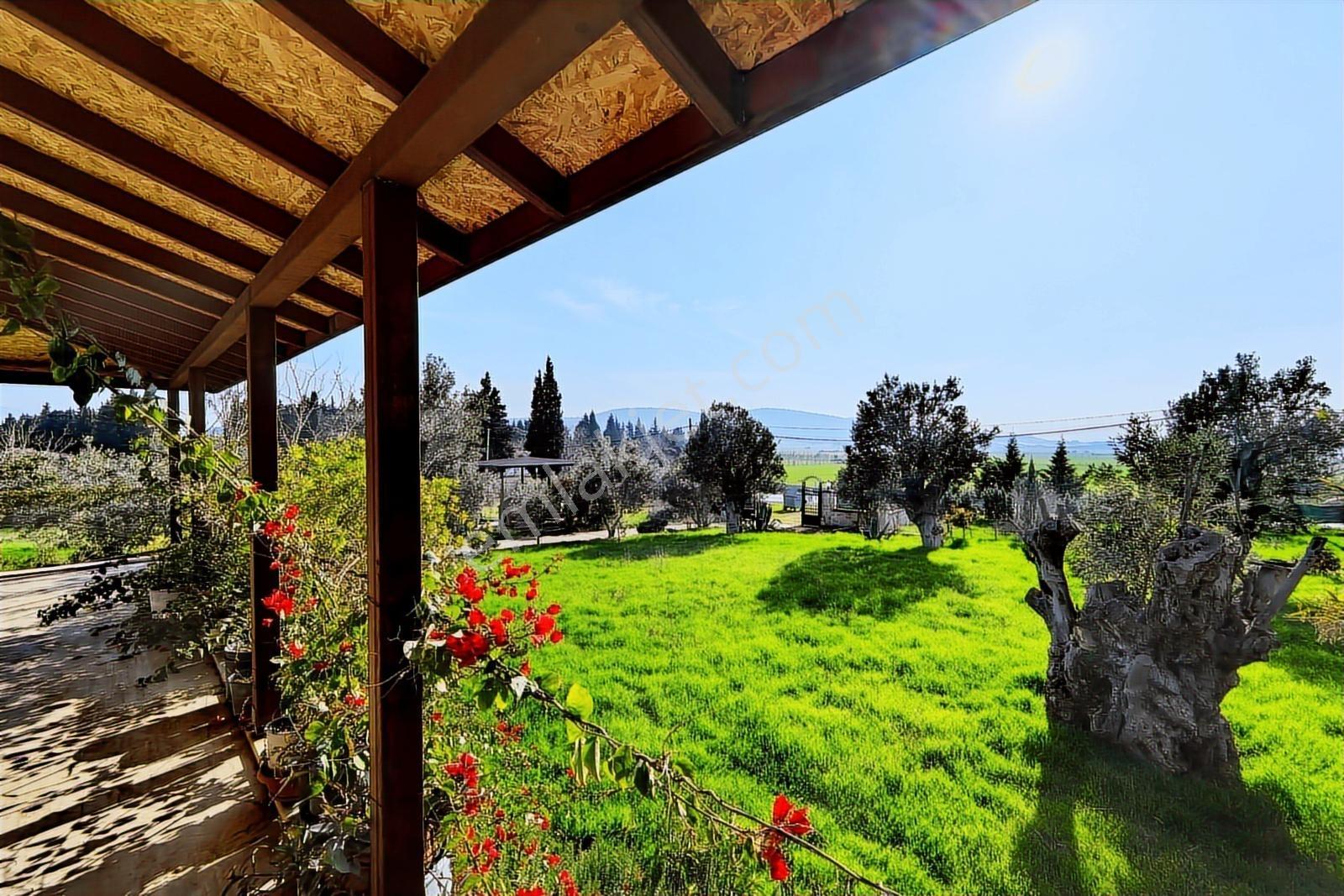 Foça-izmir K.yolu Üzerinde 4.717m2 Bahçe İçerisinde Müstakil Ev — fotoğraf 11