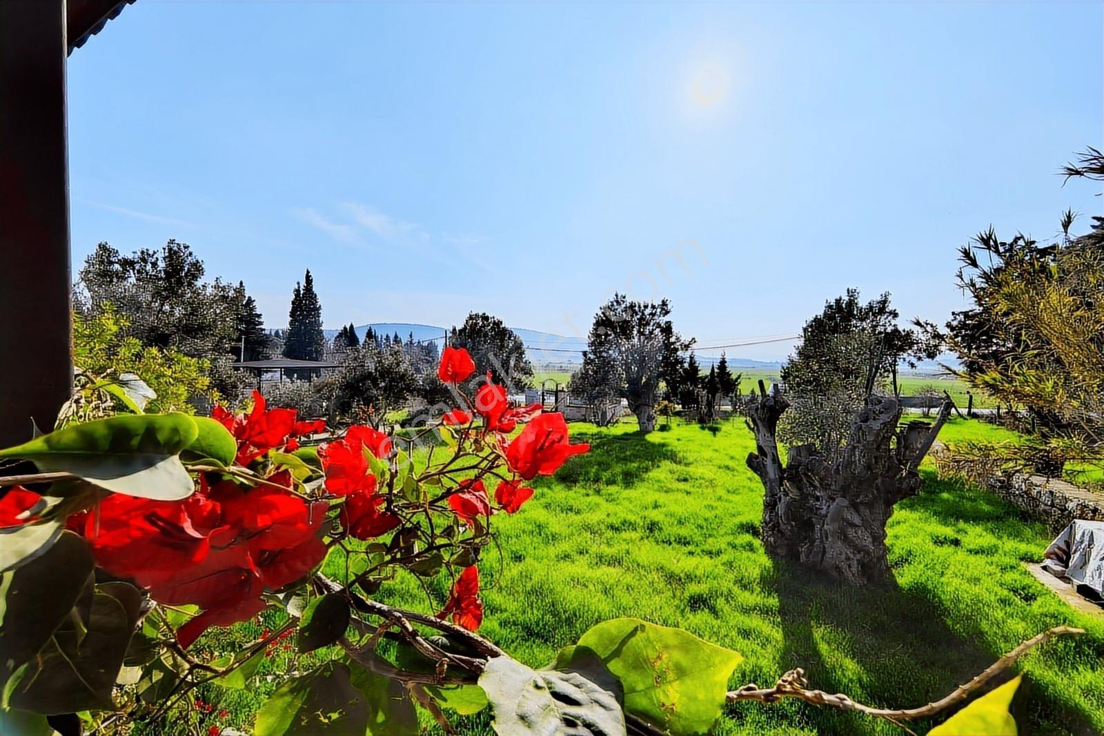 Foça-izmir K.yolu Üzerinde 4.717m2 Bahçe İçerisinde Müstakil Ev — fotoğraf 12