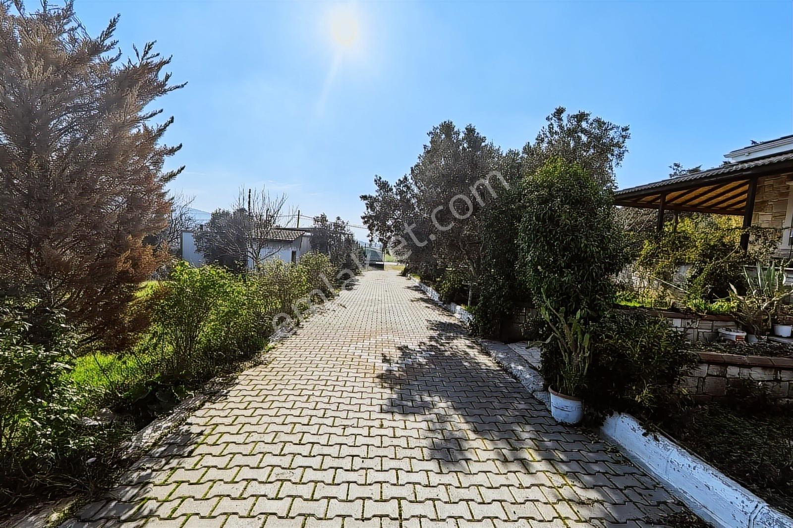 Foça-izmir K.yolu Üzerinde 4.717m2 Bahçe İçerisinde Müstakil Ev — fotoğraf 24
