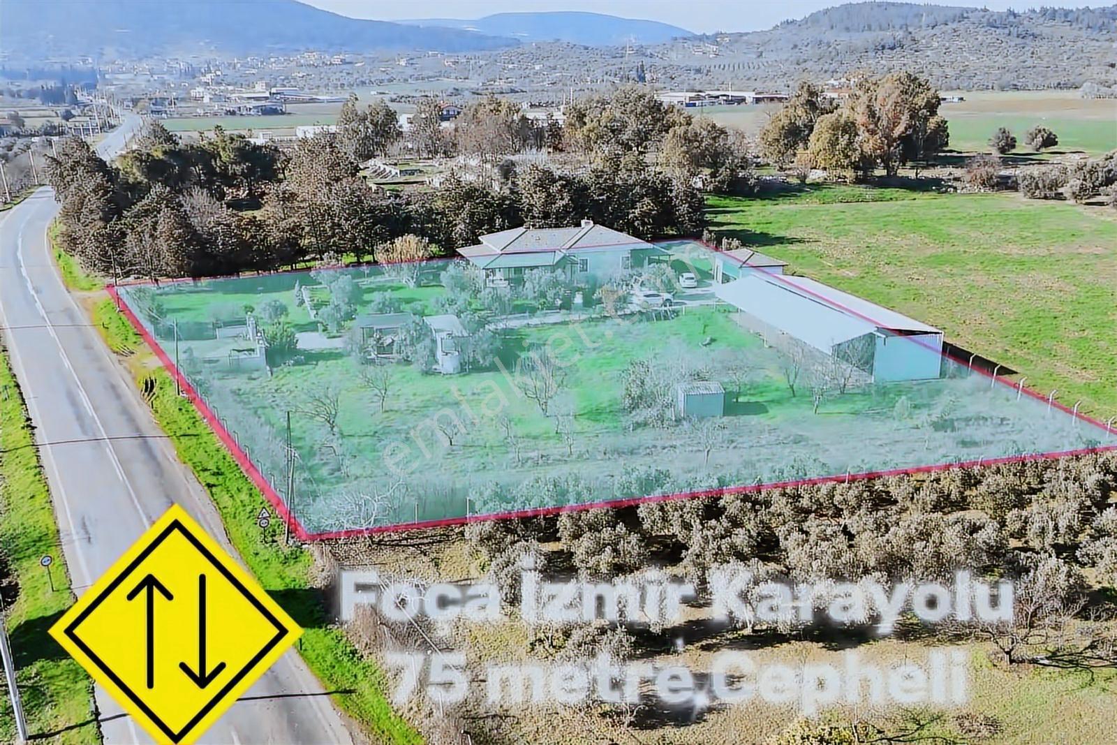 Foça-izmir K.yolu Üzerinde 4.717m2 Bahçe İçerisinde Müstakil Ev — fotoğraf 31