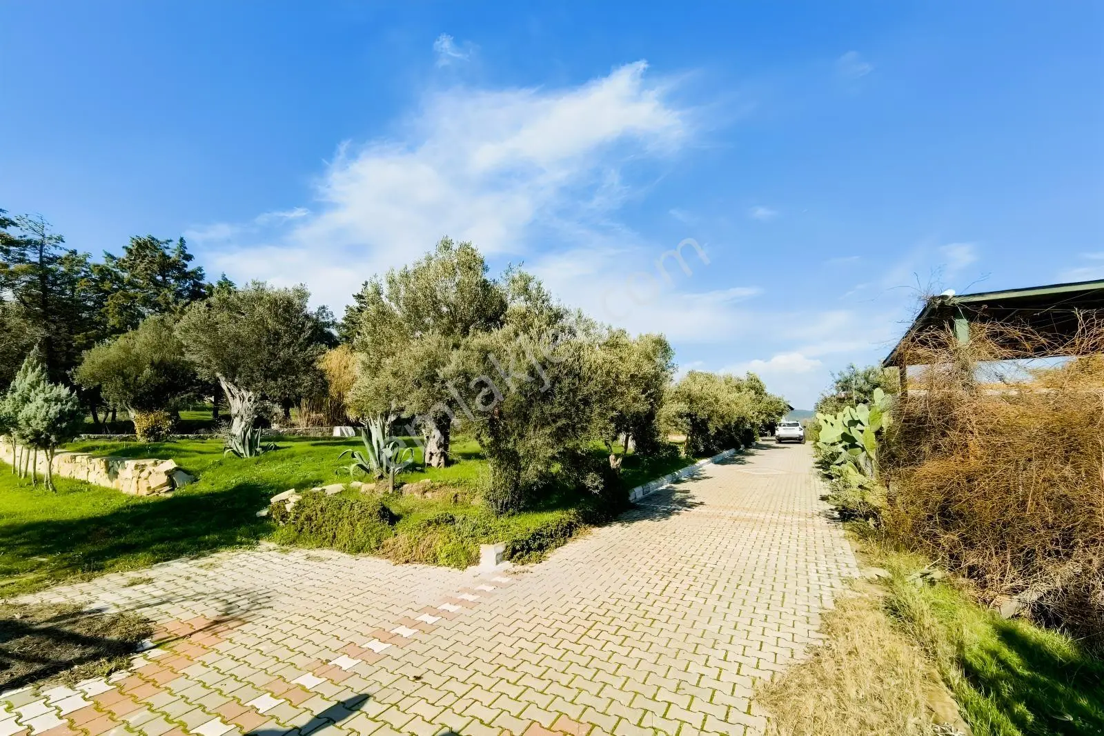 Foça-izmir K.yolu Üzerinde 4.717m2 Bahçe İçerisinde Müstakil Ev — fotoğraf 33