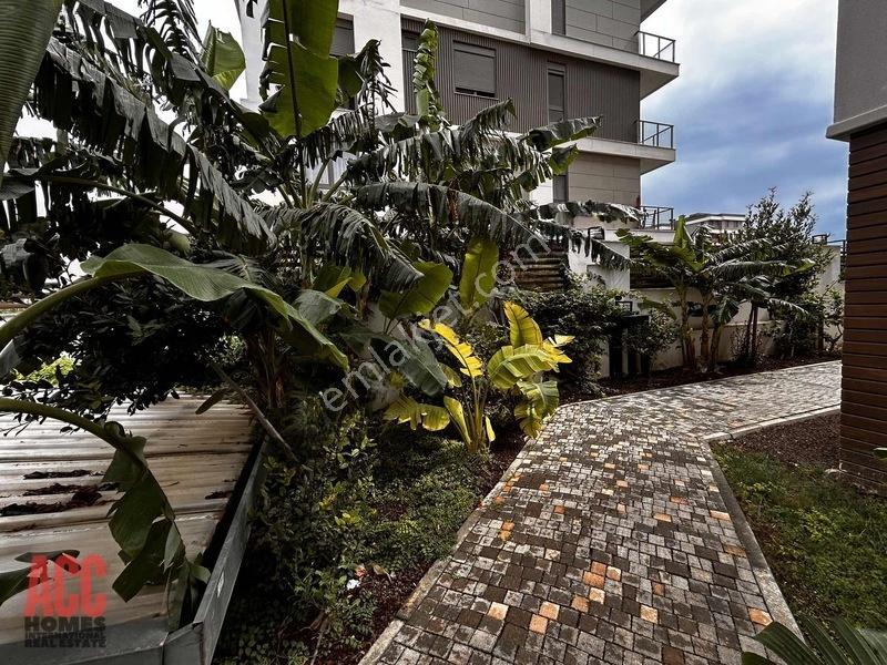 Acc Homes Tan İskanlı Geniş 1+1 — fotoğraf 7