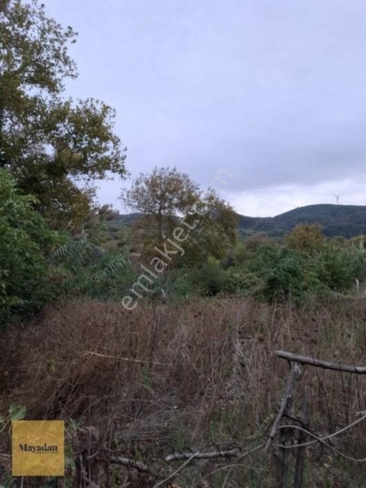 Mayadan Gyo A.ş. Den Sahil Yenice De Satılık Arsa — fotoğraf 2