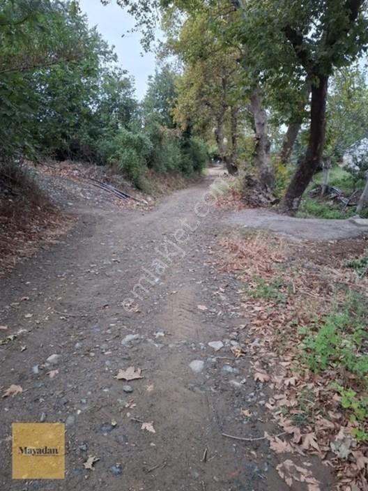 Mayadan Gyo A.ş. Den Sahil Yenice De Satılık Arsa — fotoğraf 3