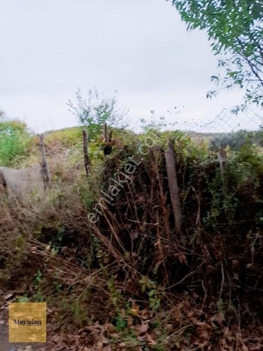 Mayadan Gyo A.ş. Den Sahil Yenice De Satılık Arsa — fotoğraf 5