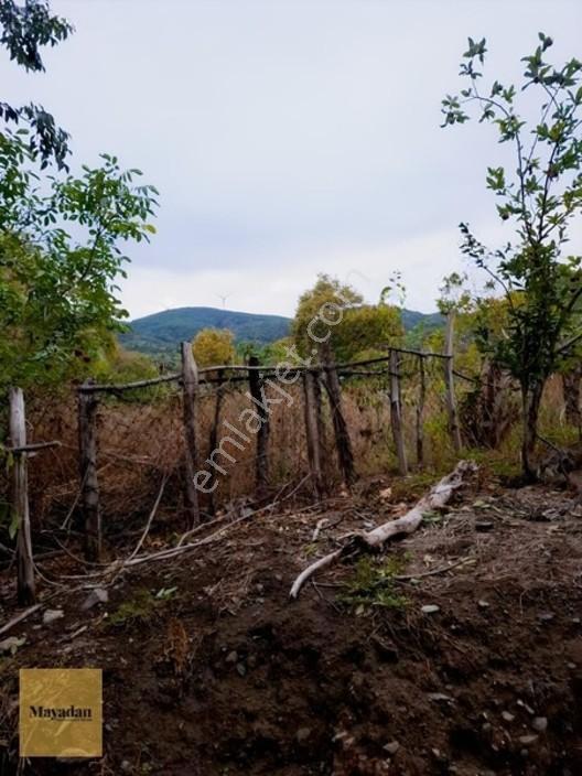Mayadan Gyo A.ş. Den Sahil Yenice De Satılık Arsa — fotoğraf 6