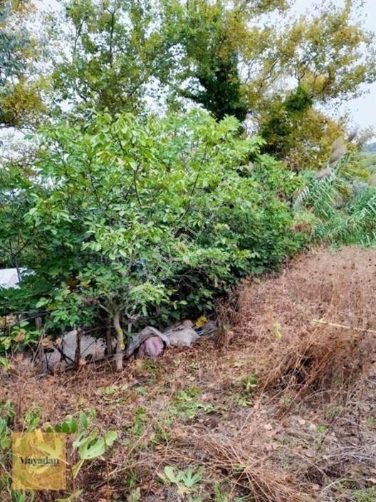 Mayadan Gyo A.ş. Den Sahil Yenice De Satılık Arsa — fotoğraf 7