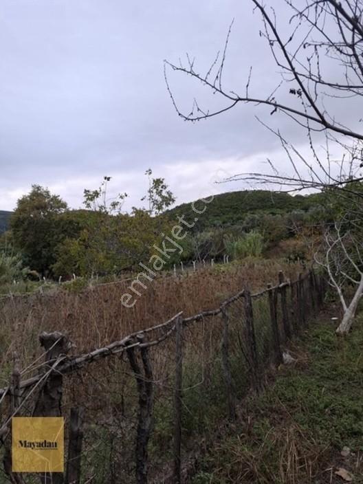 Mayadan Gyo A.ş. Den Sahil Yenice De Satılık Arsa — fotoğraf 8