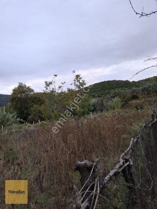 Mayadan Gyo A.ş. Den Sahil Yenice De Satılık Arsa — fotoğraf 9