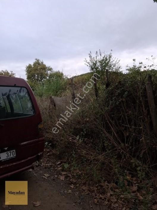 Mayadan Gyo A.ş. Den Sahil Yenice De Satılık Arsa — fotoğraf 10