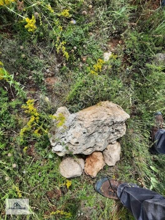 Karabük Merkez Kale Köyü 3019 M2 Satılık Arsa — fotoğraf 2