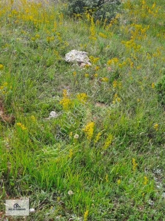 Karabük Merkez Kale Köyü 3019 M2 Satılık Arsa — fotoğraf 3