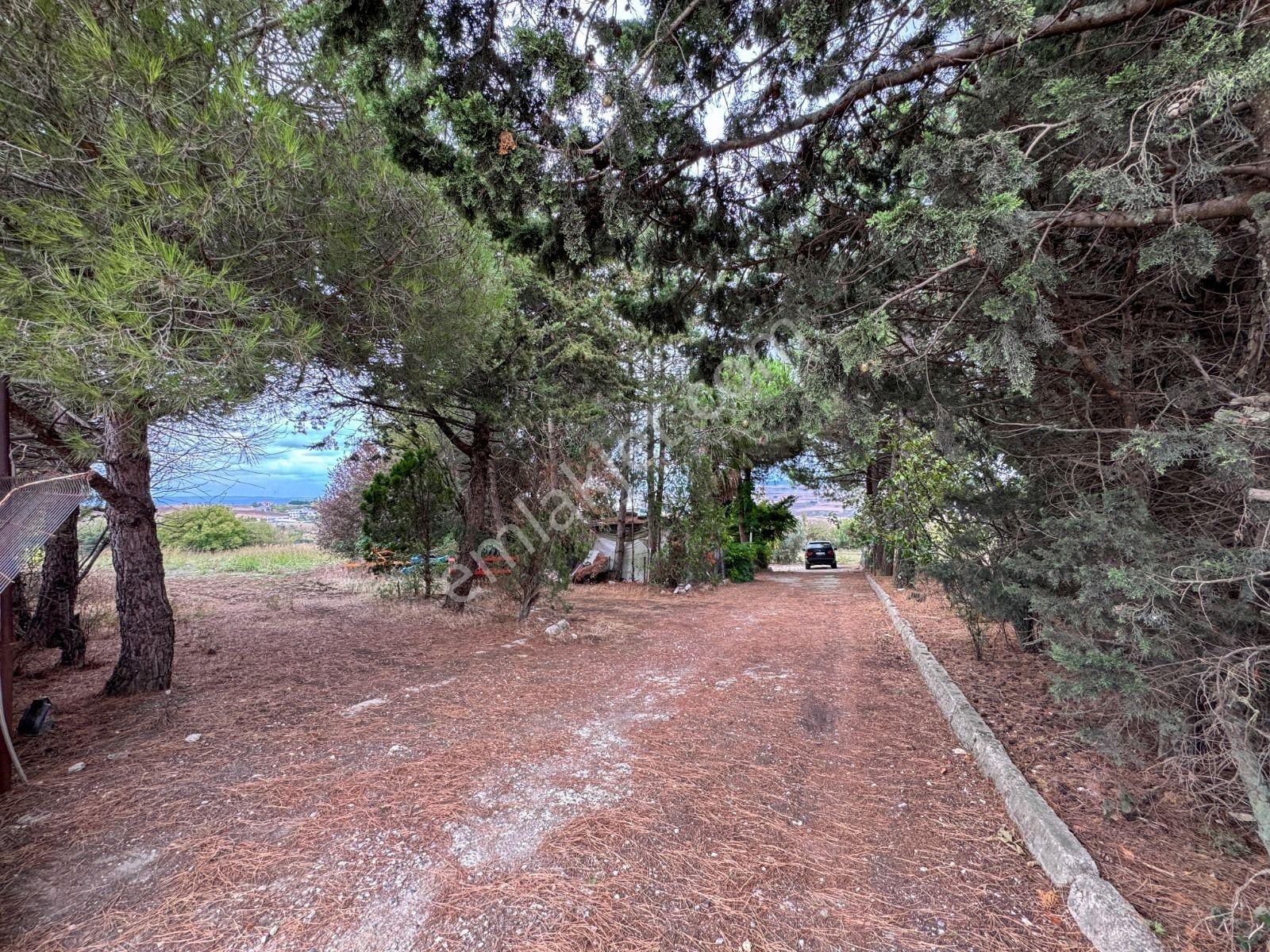 Silivri Akören Cadde Üzeri Satılık Çiftlik Evi — fotoğraf 5