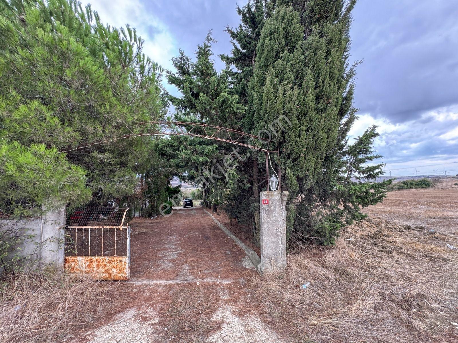 Silivri Akören Cadde Üzeri Satılık Çiftlik Evi — fotoğraf 6