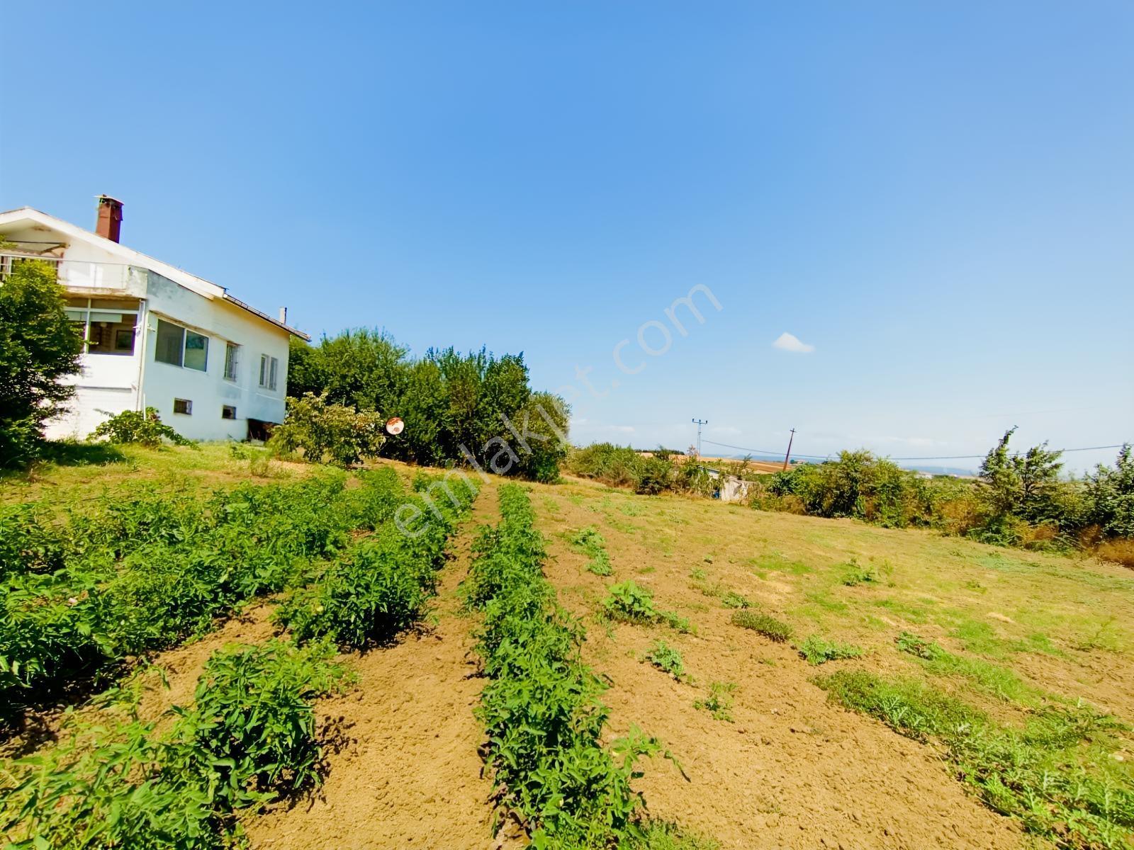 Silivri Akören Cadde Üzeri Satılık Çiftlik Evi — fotoğraf 28