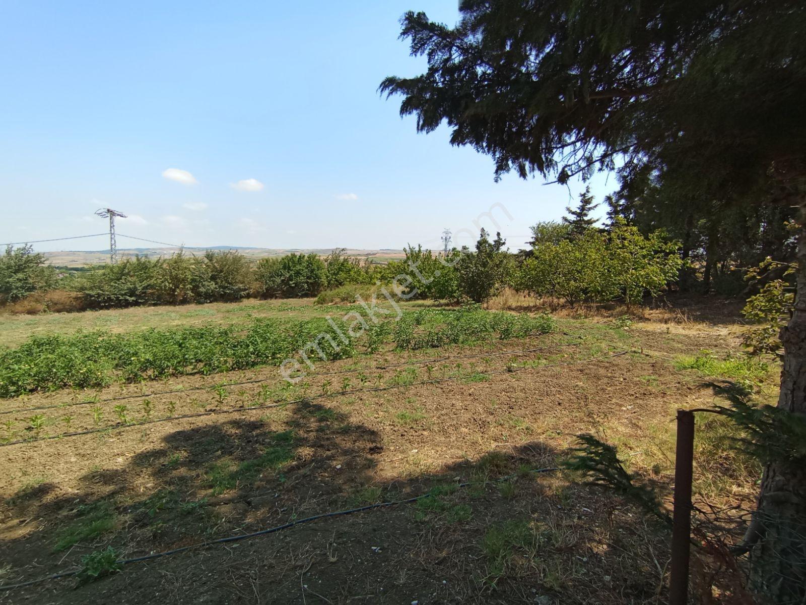 Silivri Akören Cadde Üzeri Satılık Çiftlik Evi — fotoğraf 33